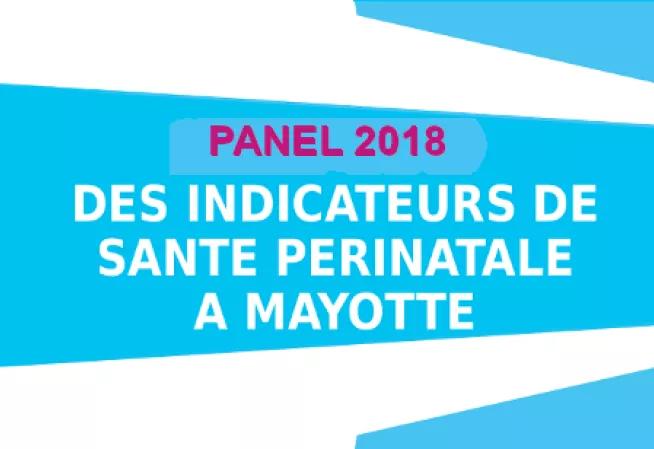 Panel 2018 : Indicateurs de santé périnatale à Mayotte 