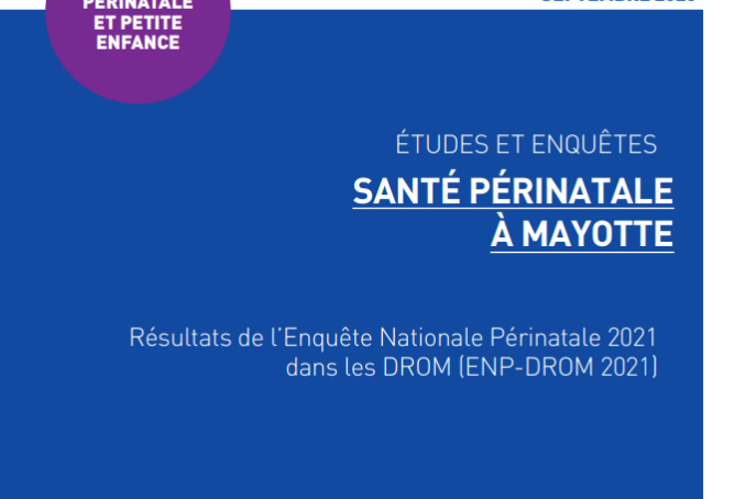 Rapport ENP-DROM 2021