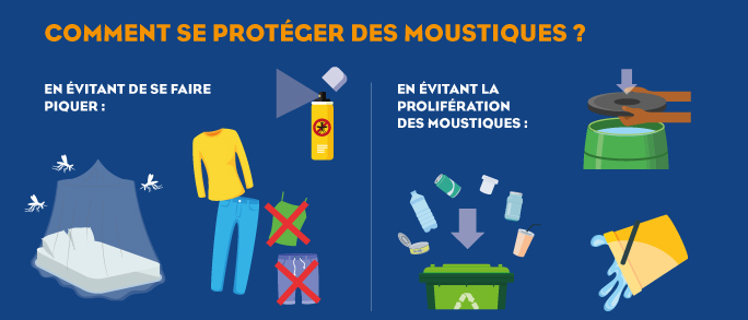 lutte-anti-moustique