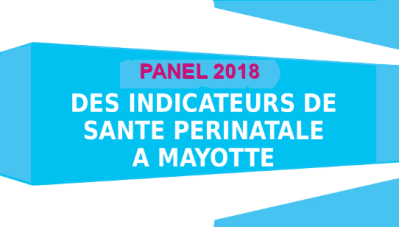 Panel 2018 : Indicateurs de santé périnatale à Mayotte 